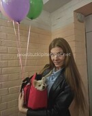 Анкета проститутки Алина - метро Ломоносовский, возраст - 26